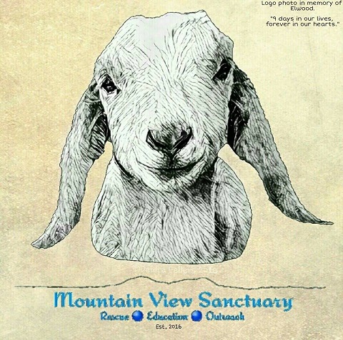 Mountain View Sanctuary